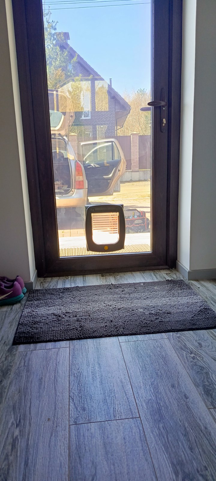 Дверца для кота в стеклопакете