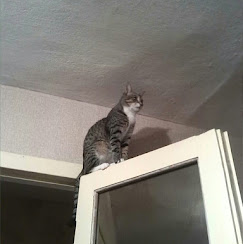 Ремонт балконной двери