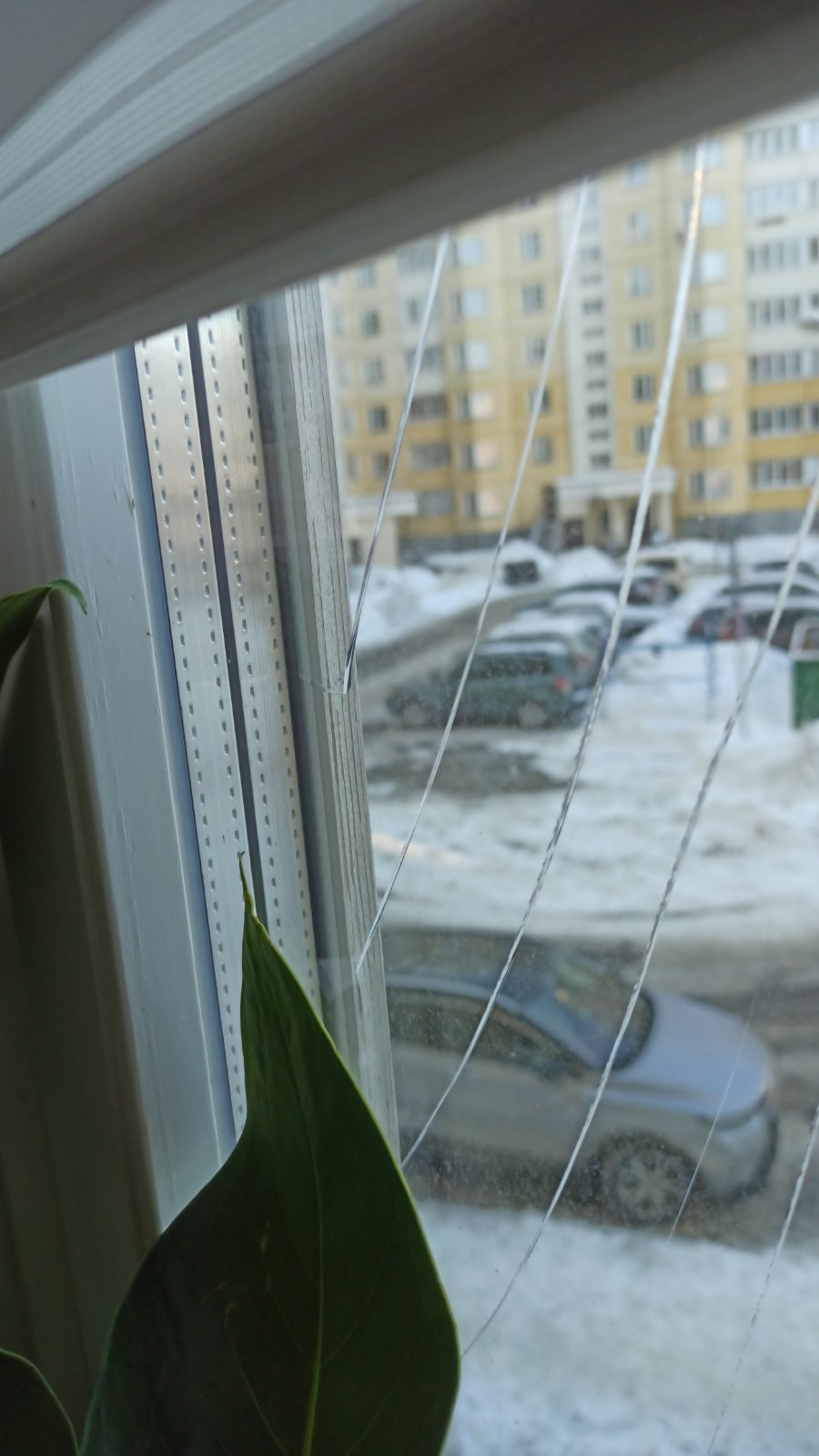 Деревянное окно со стеклопакетом